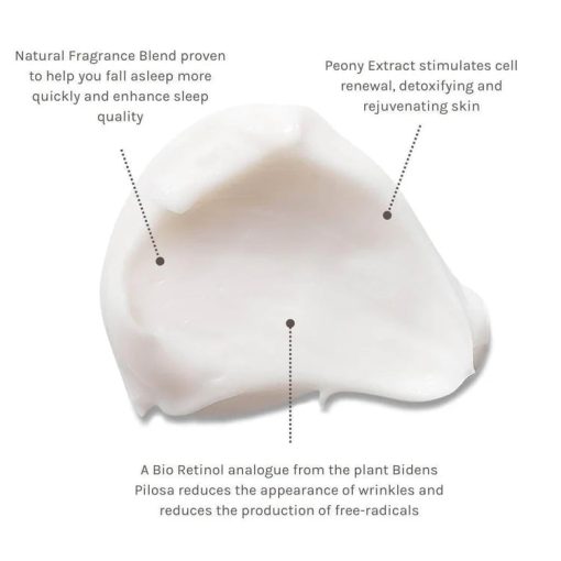 Nightly Renew Facial Cream - Image 3